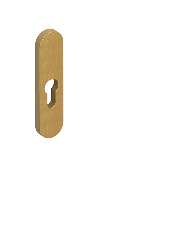 Rosette for additional door cylinder F3 (na špeciálnu objednávku)